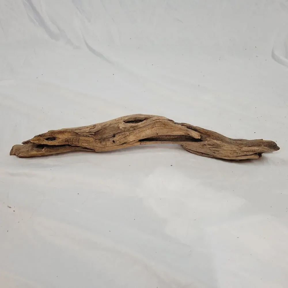 Ohio River Driftwood 22